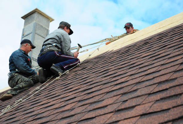 Quick and Trustworthy Emergency Roof Repair Services in Andover, MN